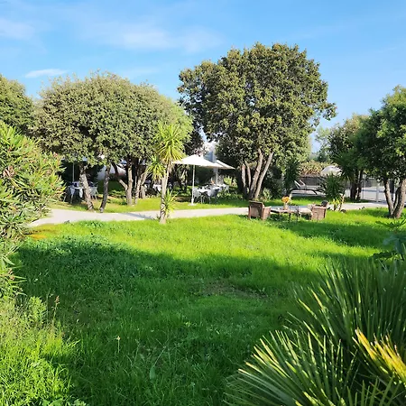 Hotel Hôtel&restaurant Les Mouettes Belgodère