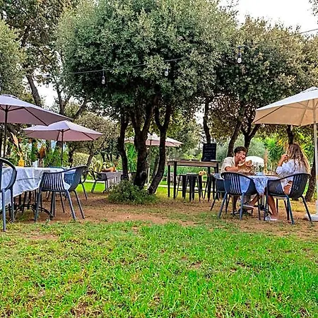 & Restaurant Les Mouettes Hotel Belgodere (Corsica)