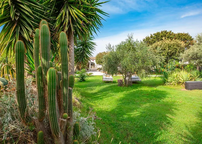 Hotel & Restaurant Les Mouettes Belgodère