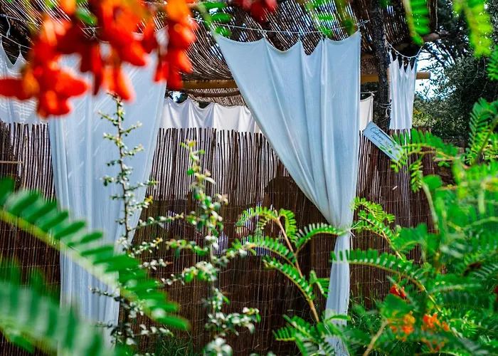 & Restaurant Les Mouettes Belgodère